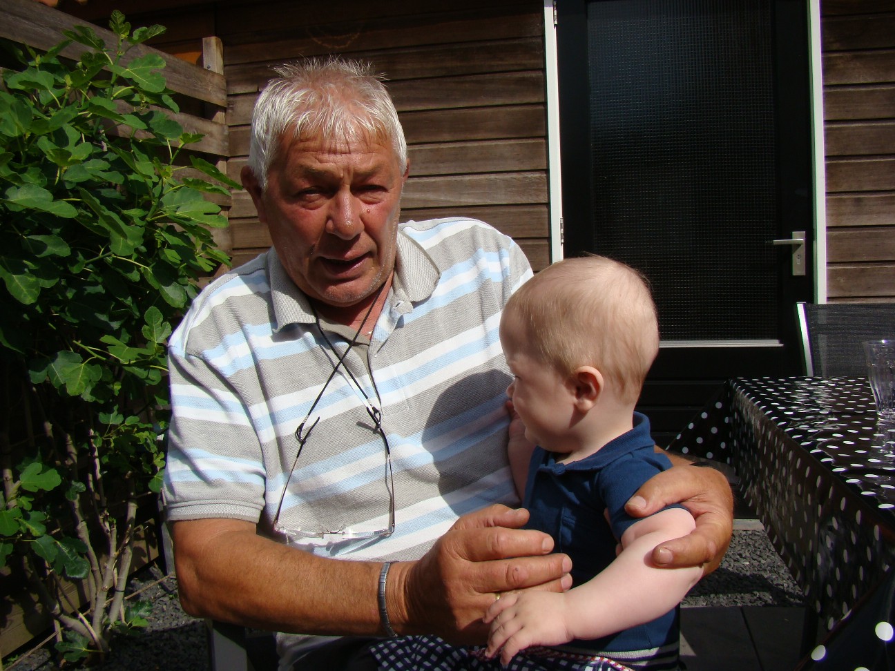 Lex jul2010-2
