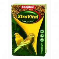 XVbird
